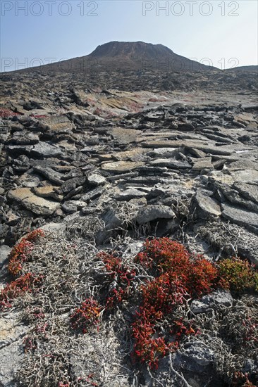 The volcanic lava rock formation Sombrero Chino