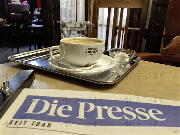 Traditional Viennese coffee house