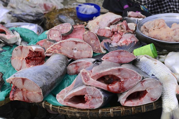 Local woman selling fish