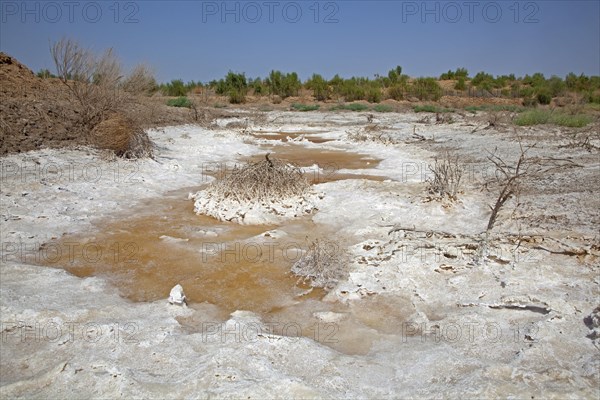 Salt deposition in the Karakum desert