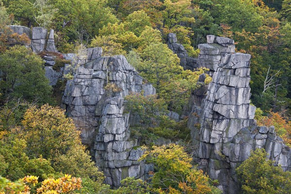 View over the Bodetal