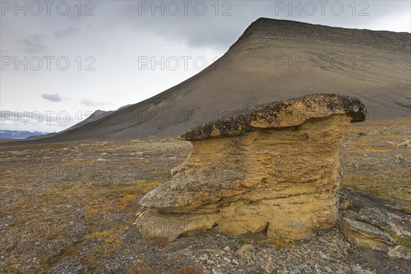 Festningen sandstone rock on the beach of Boltodden