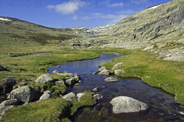 Mountain stream in spring in the Sierra de Gredos