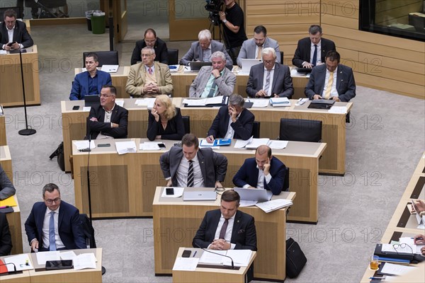AfD parliamentary group