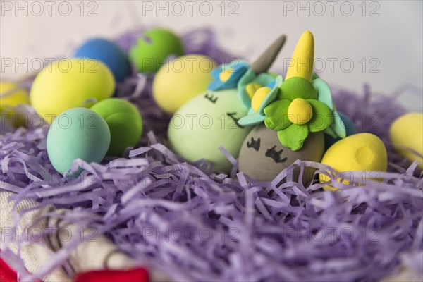 Unicorn eggs nest