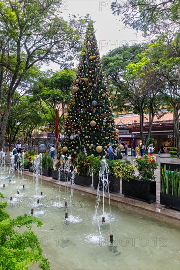 Christmas tree in front of a fountain