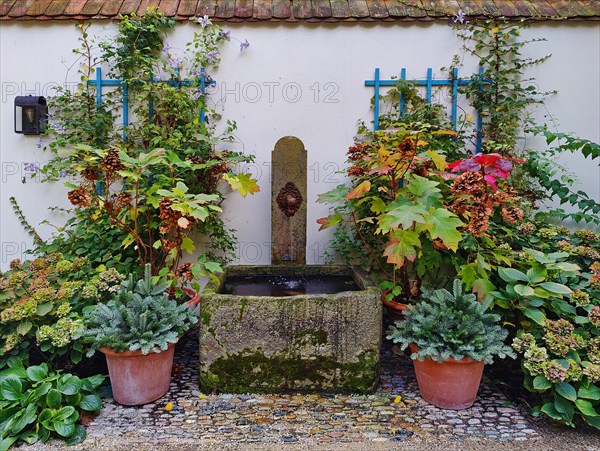 Garden with original fountain