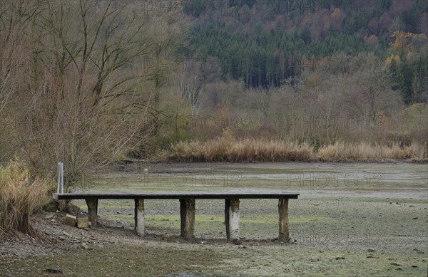 Winter lake drainage as a municipal measure for lake restoration