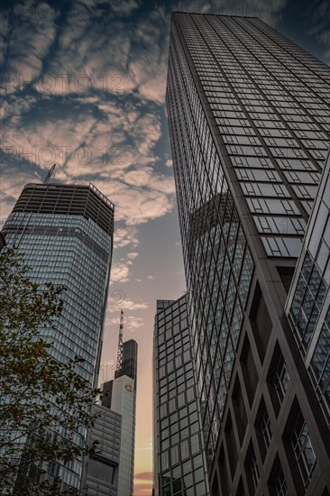 Cityscape on the Main with the skyline in the evening