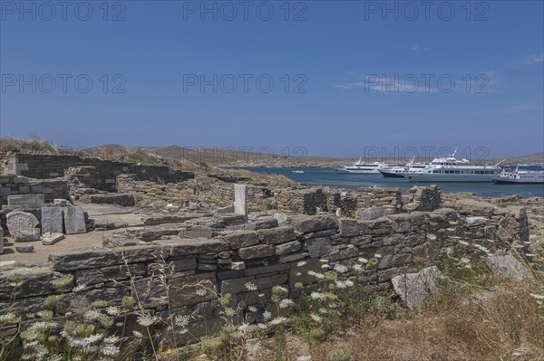 Excursion boats off the island of Delos