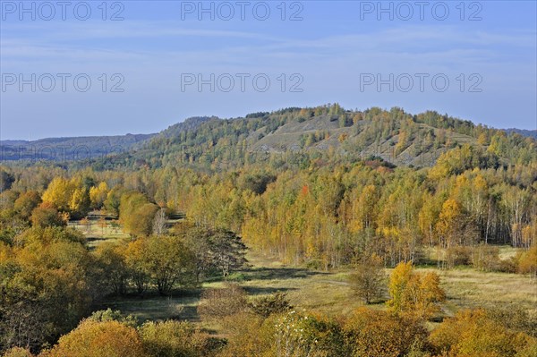 Nature overgrowing abandoned spoil tip in autumn of coal mine at Eisden