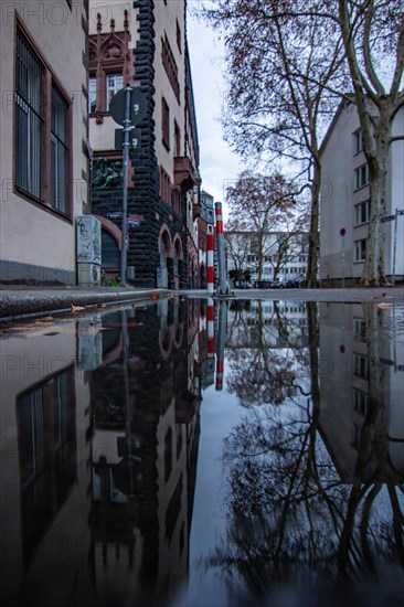 Reflection in a puddle between a historic city centre. Cityscape at the Roemer and the historic houses and streets. Cityscape in Frankfurt am Main