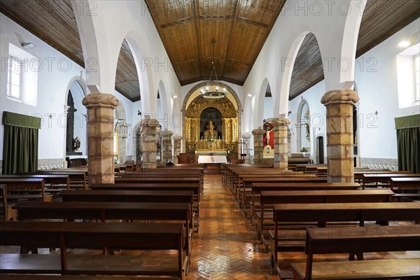 Nave