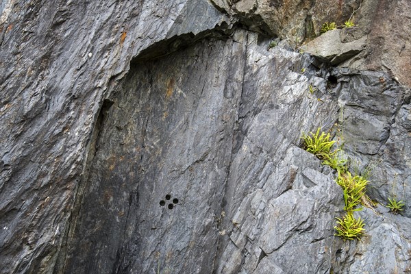 Drill holes in rock face for inserting explosives at the Ballachulish slate quarry in Lochaber