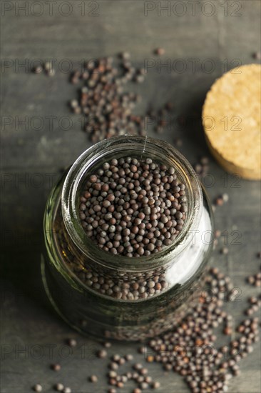 Seeds jar high angle