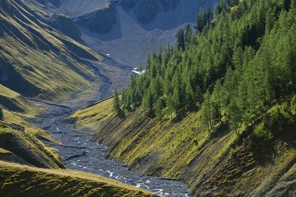 Almost dry riverbed of the river Ova da Trupchun in Val Trupchun