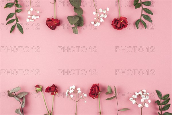 Row rose baby s breath leafs arranged peach backdrop