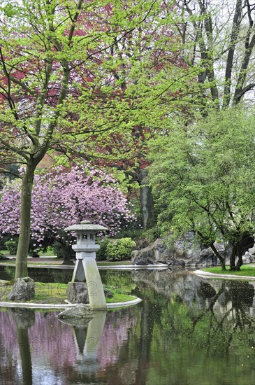 Japanese garden with duck pond in city park