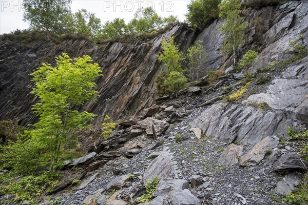 Ballachulish slate quarry showing overgrown cliff