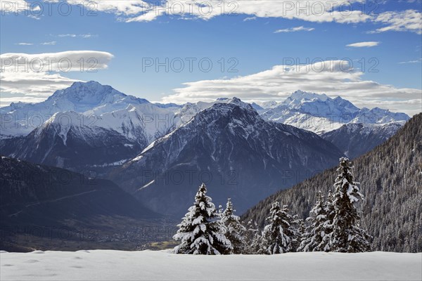 Mountains seen from Riederalp and snow covered spruce trees in winter in the Swiss Alps