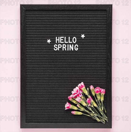 Hello spring inscription with pink flowers black board