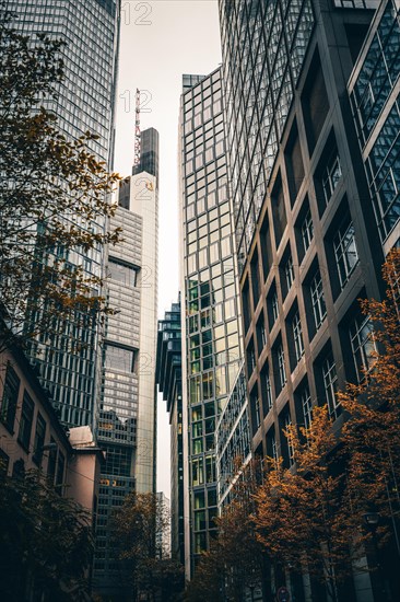 Cityscape on the Main with the skyline in the evening