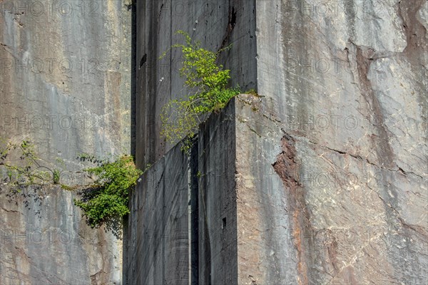 Abandoned red marble quarry Carriere de Beauchateau at Senzeilles