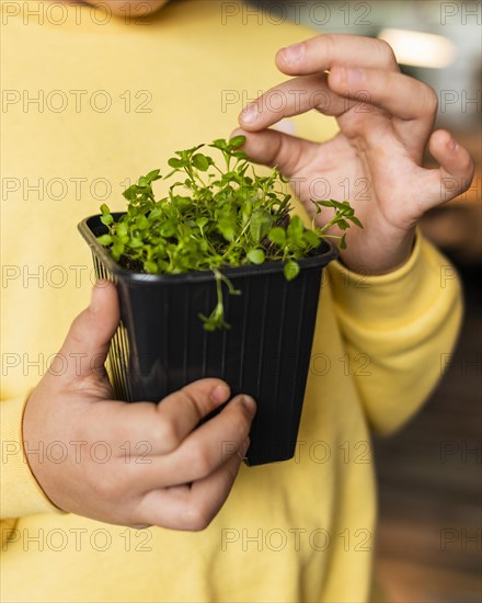 Front view little girl home with small plant