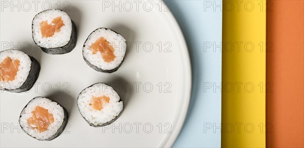Minimalist plate with sushi rolls close up