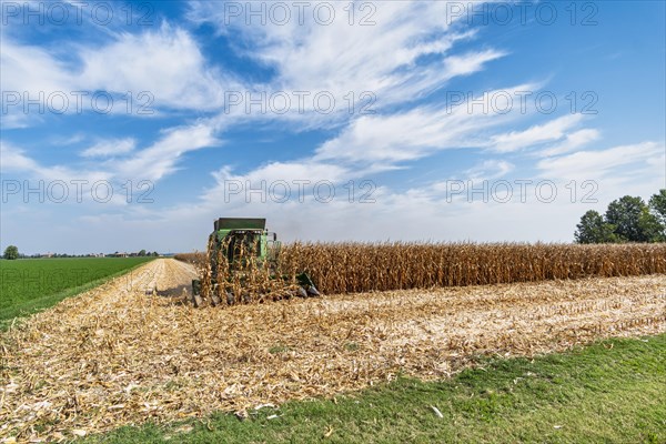 Maize harvest near Pieve di Cento