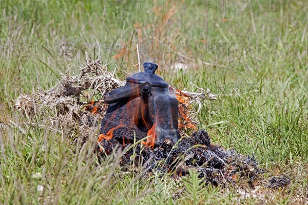 A blackened kettle boiling water in the flames of on an open campfire for making tea