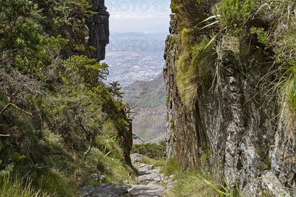 Steep hiking trail