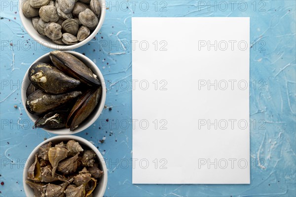 Top view bowls with mussels clams