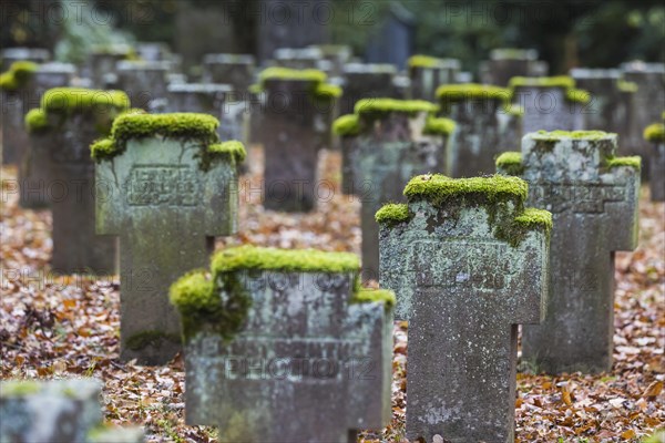 Cemetery for fallen soldiers of the world wars