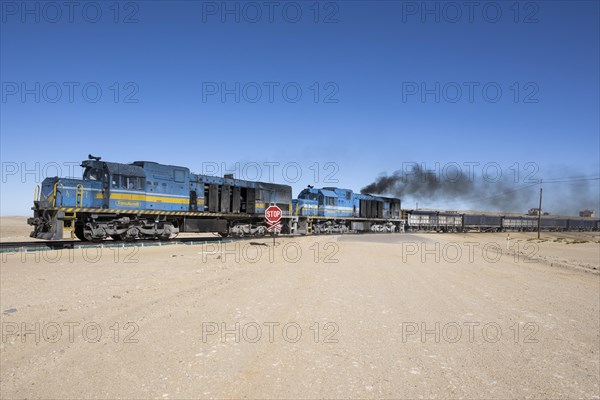Heavy goods train for ore transport