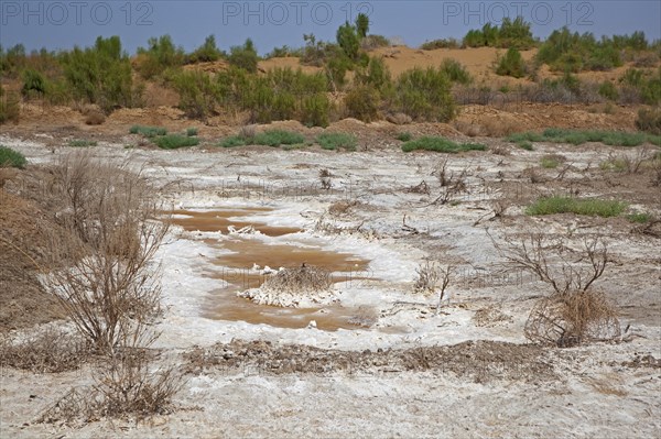 Salt deposition in the Karakum desert