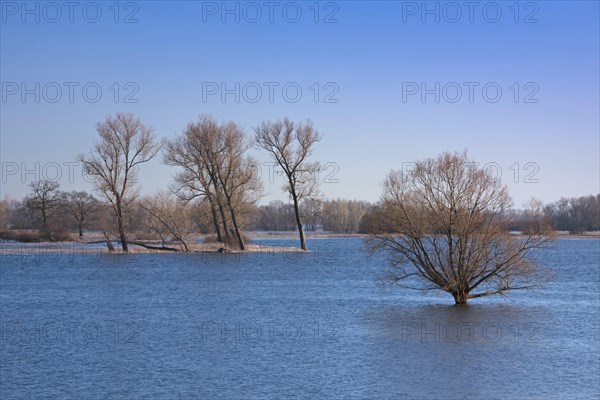 Flooded meadows at the Elbe River Landscape Biosphere Reserve