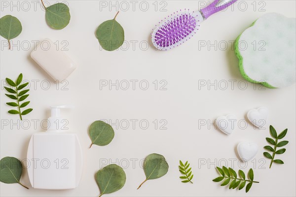 Soap hairbrush dispenser bottle green leaves white backdrop