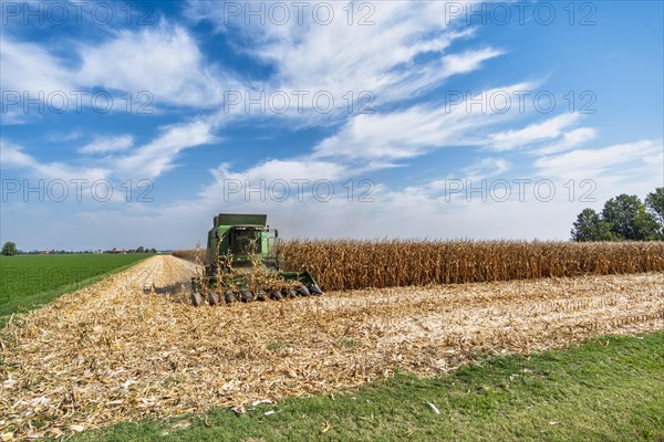 Maize harvest near Pieve di Cento