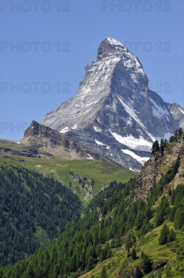 View over the Matterhorn mountain with alpine meadows and pine forests near Zermatt