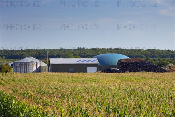 Farm-based maize silage anaerobic digester plant for producing biofuel