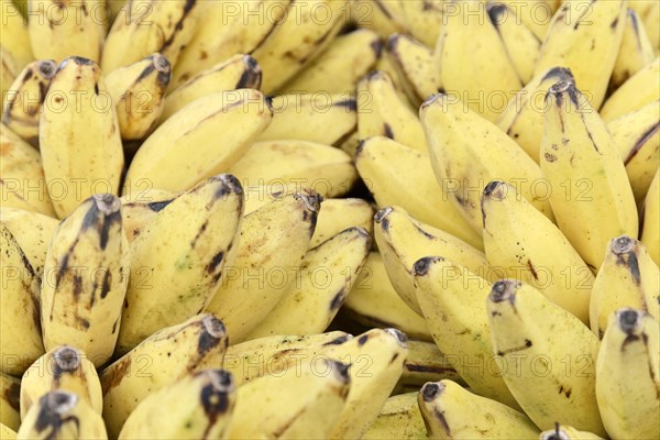 Fresh bananas at a market in Mandalay