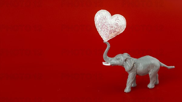 Small elephant with soft heart