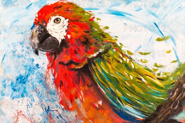 Macaw portrait