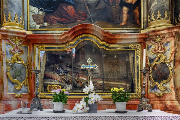 Relic of St Vincent in the church of St Stephen
