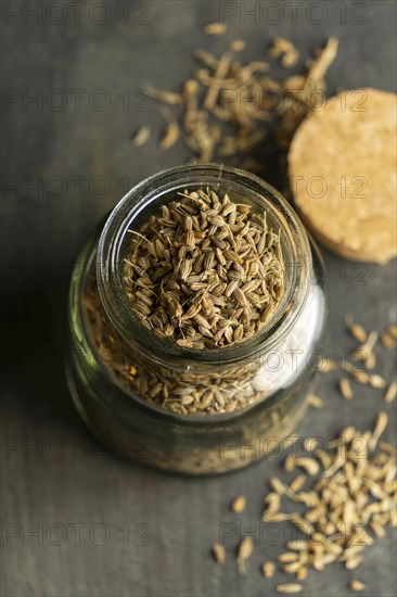 Seeds jar arrangement