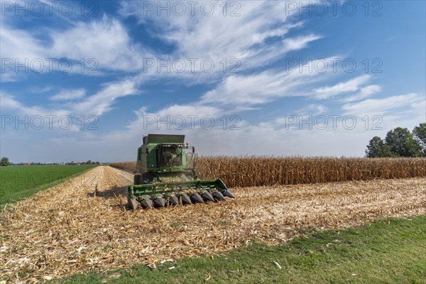 Maize harvest near Pieve di Cento