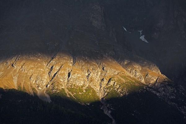 Sunlit rock face showing coniferous tree line