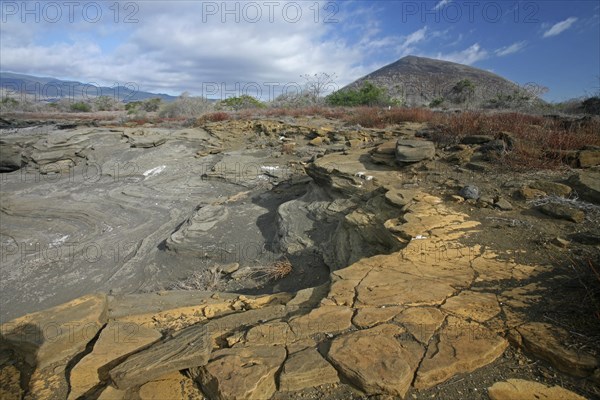 Volcanic landscape of Puerto Egas on Santiago Island