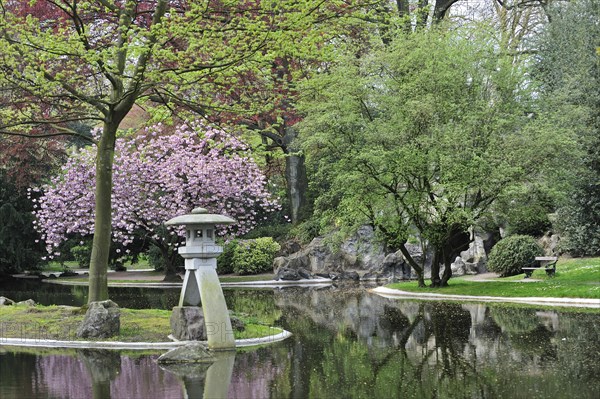 Japanese garden with duck pond in city park